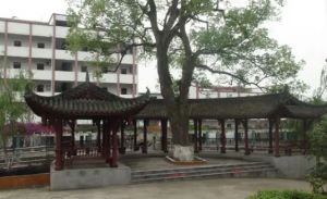 合江縣先市職業(yè)高級(jí)中學(xué)校2022年招生分?jǐn)?shù)線