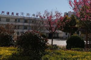 鹽源縣職業(yè)技術中學校就業(yè)好不好_就業(yè)方向有哪些