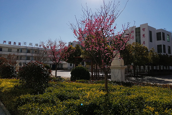 鹽源縣職業(yè)技術(shù)中學(xué)校