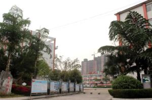 2022年沐川縣中等職業(yè)學(xué)校招生專業(yè)有哪些