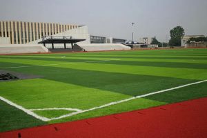 2022年樂山市欣欣藝術(shù)職業(yè)學(xué)校報考條件_報考要求介紹