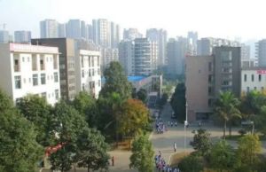 2022年樂山市沙灣職業(yè)高級中學(xué)學(xué)費貴不貴
