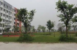 金堂中學(xué)是國(guó)重嗎 金堂中學(xué)怎么樣