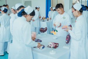 成都錦江區(qū)護理專業(yè)有哪些_成都錦江區(qū)衛(wèi)校專業(yè)排名