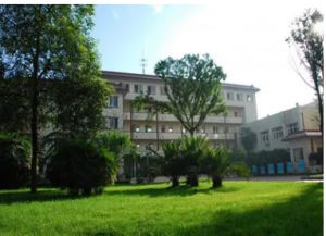 四川理工技師學(xué)院幼兒教育專業(yè)就業(yè)優(yōu)勢(shì)