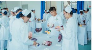 成都護(hù)理職業(yè)學(xué)院招生專業(yè)介紹_護(hù)士考試要求