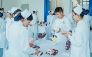 成都職業(yè)護士學校那個專業(yè)比較好