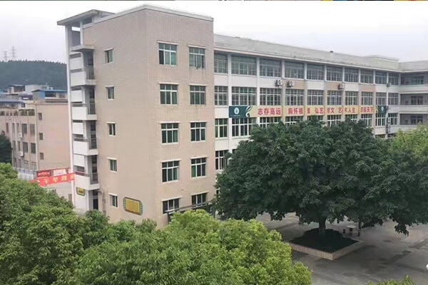 綿陽高新區(qū)實驗中學