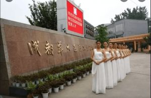 成都華大醫(yī)藥衛(wèi)生學校是公辦還是民辦