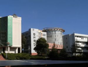 西昌學院是公辦還是民辦大學