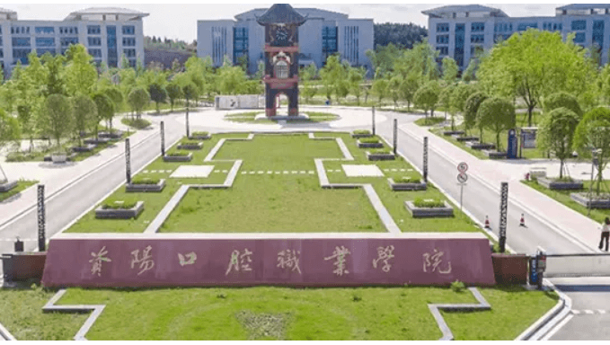 資陽口腔職業(yè)學(xué)院師資