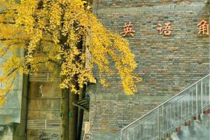 洪雅中學(xué)是國重嗎_洪雅中學(xué)錄取分?jǐn)?shù)線多少