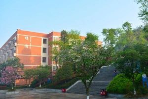 2023年合江少岷職業(yè)技術(shù)學(xué)校招生簡章|招生專業(yè)|資助政策