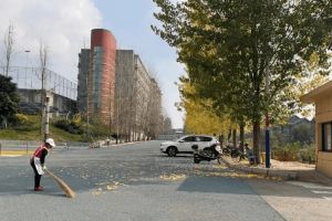 南充科技職業(yè)學院2023年錄取分數(shù)最低是多少