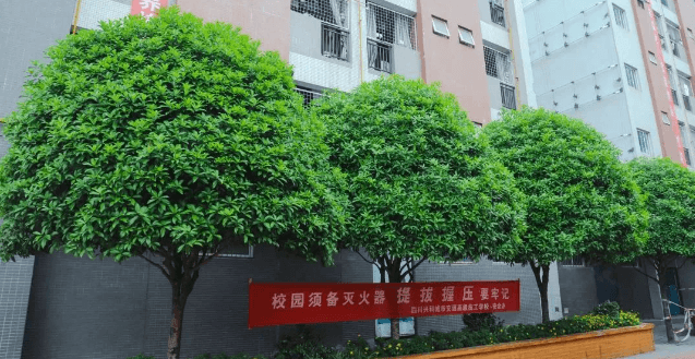 四川興科城市交通高級(jí)技工學(xué)校