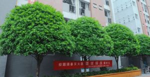 2023四川興科城市交通高級技工學(xué)校招生計劃_學(xué)?？诒脝? />              </div>
              <div   id=