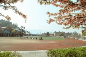 廣元市樹人中學(xué)2023年錄取分?jǐn)?shù)線是多少_地址在哪里