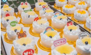 四川興科城市交通高級技工學(xué)校2023年就業(yè)保障_報名條件
