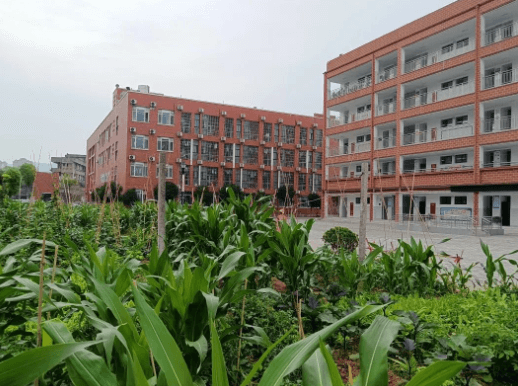 廣元市樹人中學(xué)