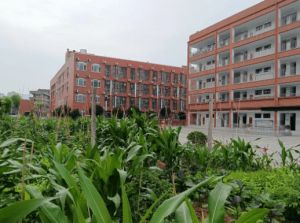 廣元樹人中學(xué)好進(jìn)嗎_師資力量