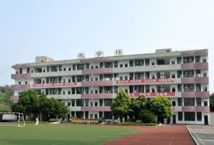 簡陽石橋中學師資力量_高考成績
