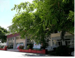 淮口中學(xué)2023年招生計(jì)劃_錄取分?jǐn)?shù)線