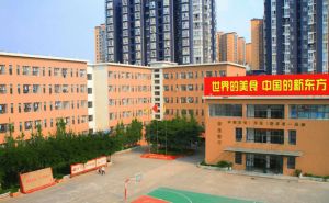 成都新東方烹飪學(xué)校有幾個校區(qū)_師資力量