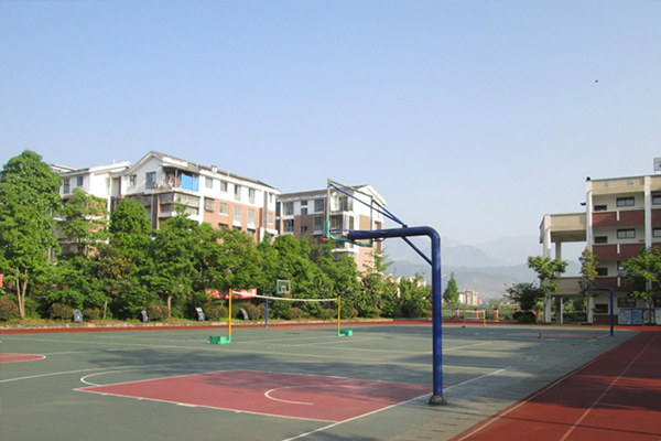 都江堰市育才中學分數(shù)線