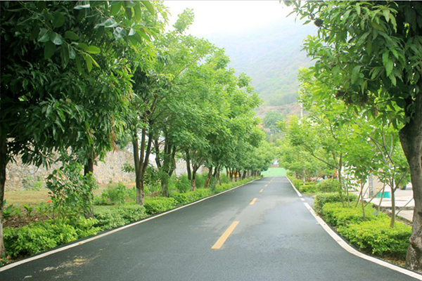攀枝花市綜合高級中學(xué)校