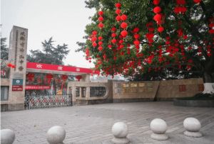 2024年成都市中和中學(xué)師資力量介紹_師資是否強(qiáng)大