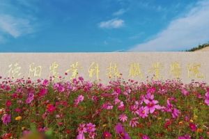 2024年德陽(yáng)農(nóng)業(yè)科技職業(yè)學(xué)院開(kāi)設(shè)專業(yè)_熱門(mén)專業(yè)介紹