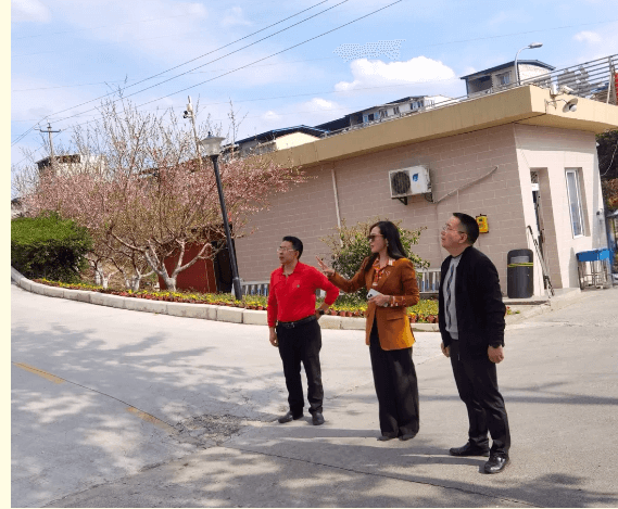 綿陽高新區(qū)實驗中學
