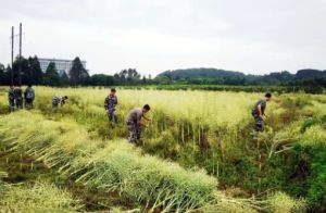 2024年樂(lè)山市知行旅游職業(yè)高中招生原則_招生地址