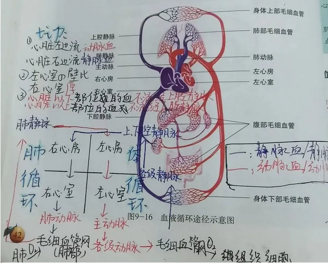成都市郫都區(qū)川科外國語學(xué)校