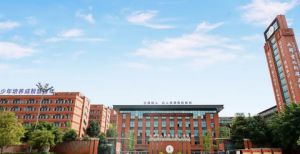 2024年成都實(shí)外新都五龍山學(xué)校學(xué)校簡介介紹_學(xué)校好不好