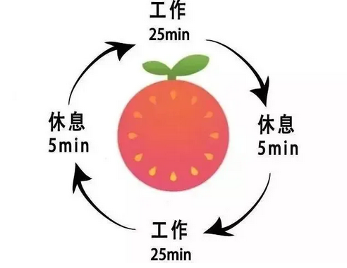 成都市金牛區(qū)協(xié)同外語學(xué)校