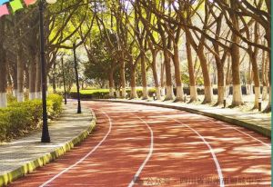 2025年四川省崇州市蜀城中學學費多少_貴不貴