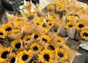 2025年成都新運(yùn)職業(yè)學(xué)校宿舍條件如何_宿舍條件介紹