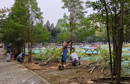 四川旅游學院