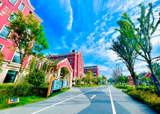 成都市新津區(qū)成外學(xué)校