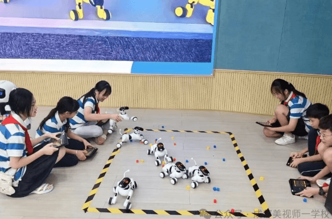 成都美視師一學校